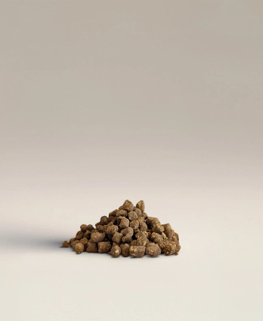 Olive Cake (Olive Pomace)