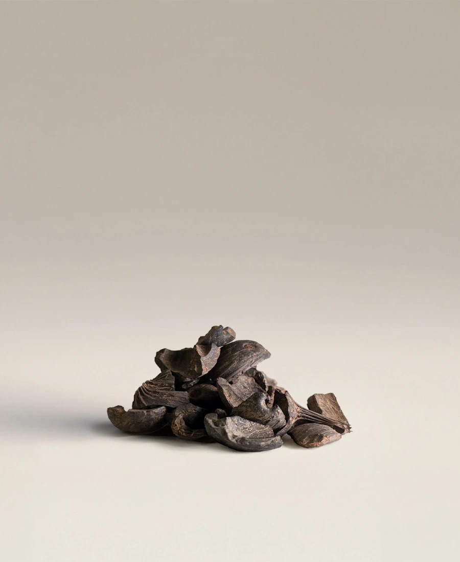 Palm Kernel Shells (PKS)