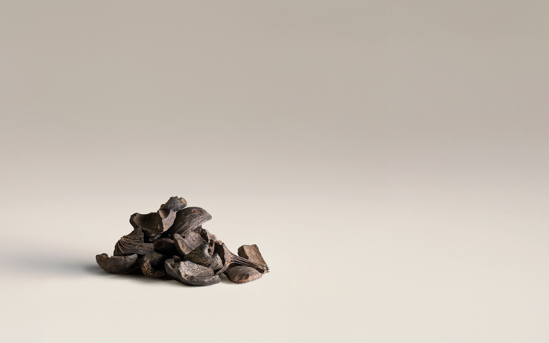 Palm Kernel Shells (PKS)