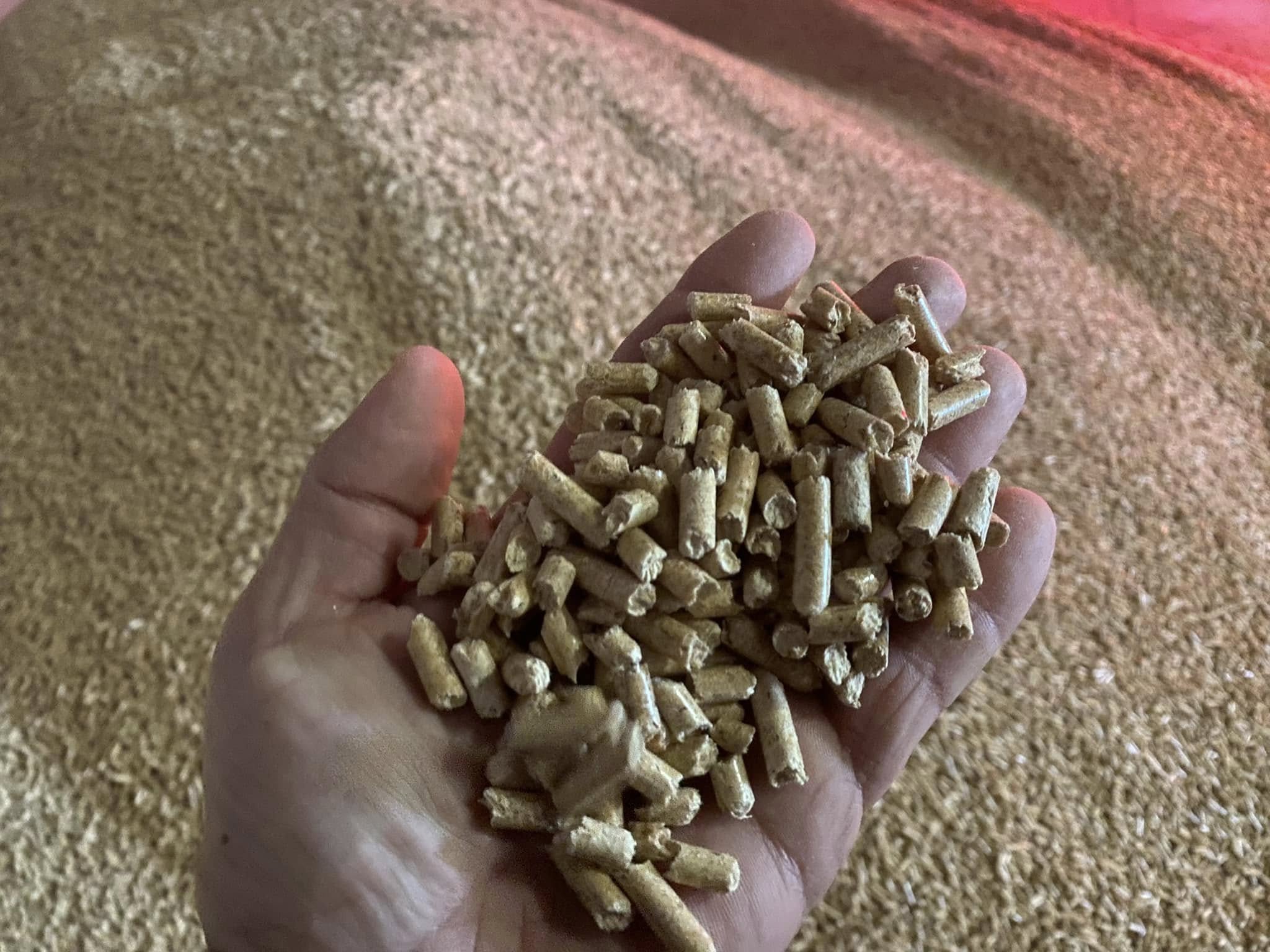 A handful of wood pellets above a bulk pellet stockpile