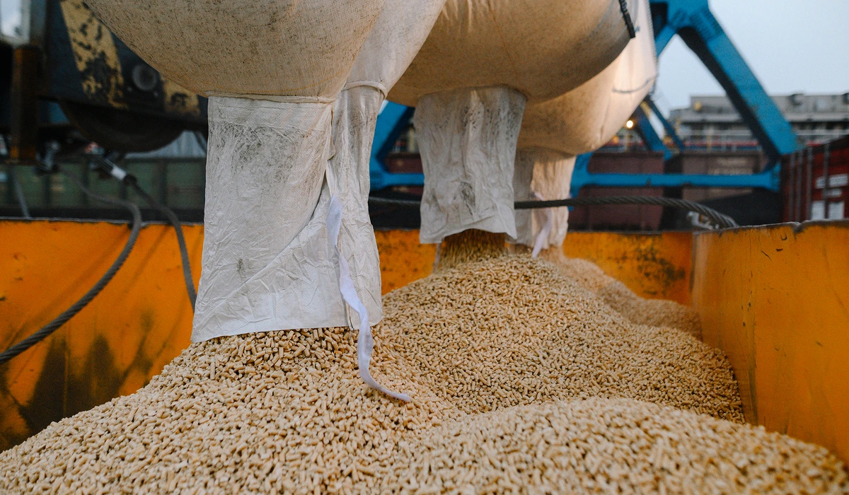Biomass supply-chain photograph