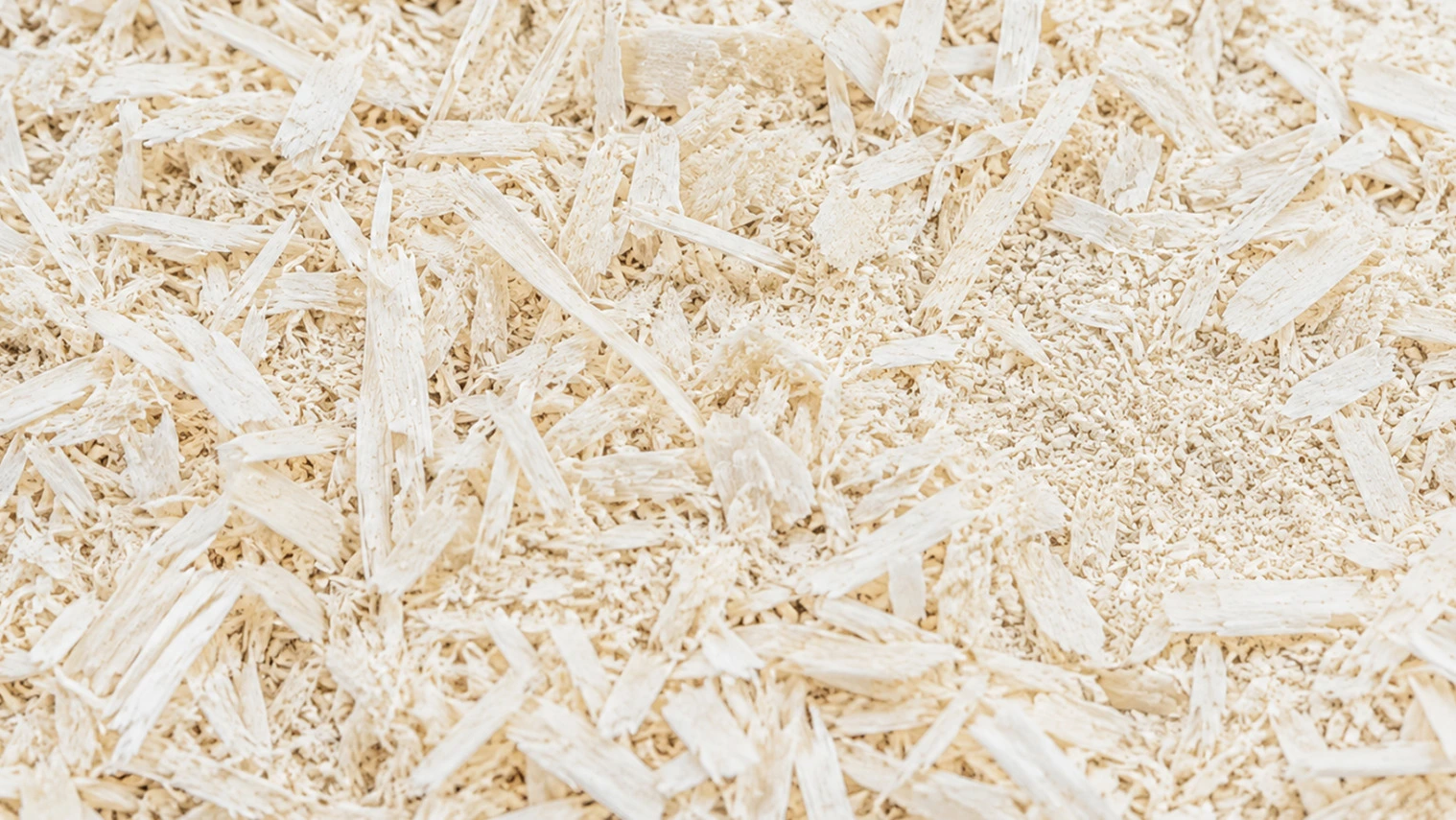 Wood material used for biomass production